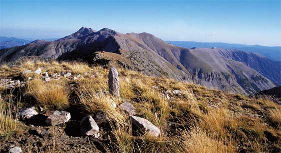 Bornes