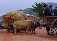 Menton fête la Roya-Bevera la Roya-Bevera