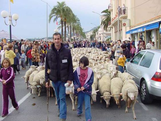 La parade des brebis parade_brebis