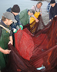 NICE La pesca a la poutina Tradition des pêcheurs du Cros de Cagnes