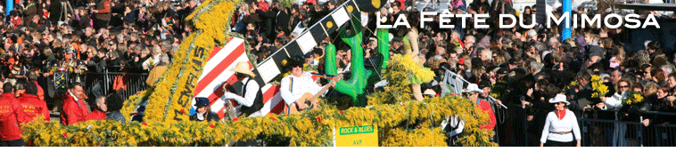 header-mimosa