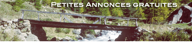 header-annonces