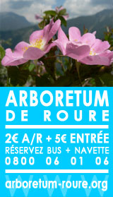 Bannière