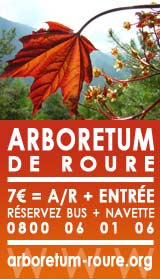Bannière