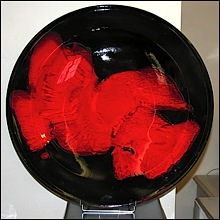ceramica