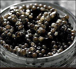 Théoule sur Mer Restaurant JILALI B Menu Spécial Caviar d'Aquitaine Sturia:: jilali-sturia