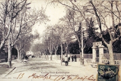 carabacel.jpg