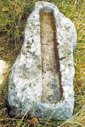 chateaurenard.jpg