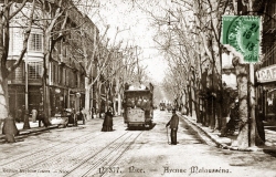 malaussena.jpg