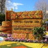 Menton-Fete-du-Citron-2010-02-21-01