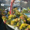 Villefranche-combat-naval-2010-02-15-3