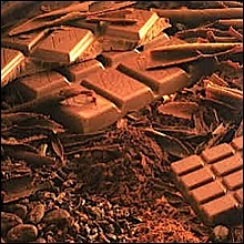 chocolat-hippodrome