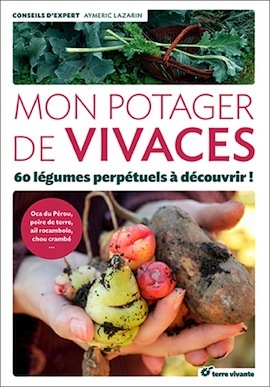 potager-vivaces-sq