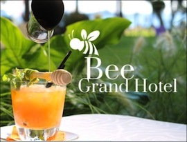 S39 bee grand hotel