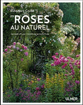 roses naturel cruse sq