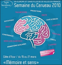 cerveau-2010