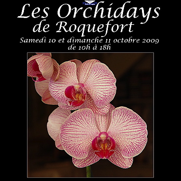 orchidays-roquefort