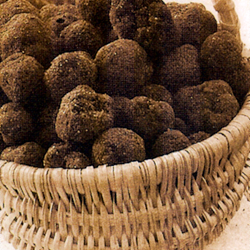 truffes-guillaumes