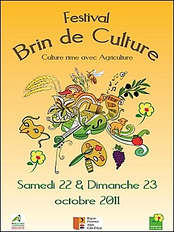 brin-culture