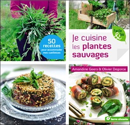 cuisine-plantes-sauvages