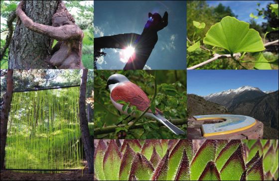 l'Arboretum de Roure dans les Alpes Maritimes earboretum-roure