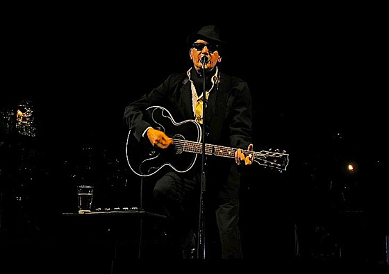 Alain Bashung au Nice Jazz Festival 2008 bashung-nice-jazz