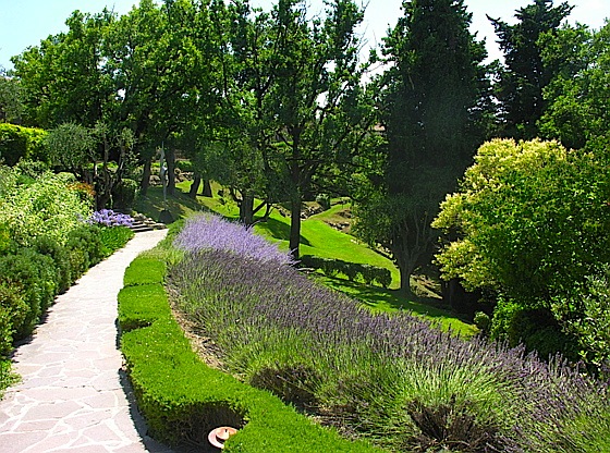 Le Mas Candille, parfum de Provence parmi les lavandes, les agapanthes et les pérovskias relais-chateaux-mougins