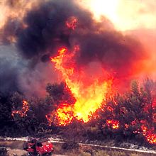 incendie de forêt