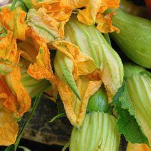 Cuisine de NICE : les beignets de fleurs de courgettes, Recette de cuisine niçoise