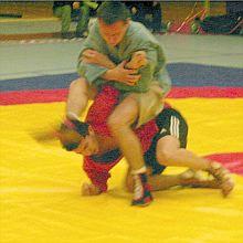 NICE Coupe du monde de Sambo au Challenge DEGLANE 