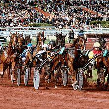 CAGNES près de NICE L'HIPPODROME de la CÔTE D'AZUR