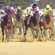 Cagnes L'hippodrome Nice Côte d'Azur fête l'Épiphanie