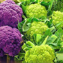 MIN à Nice Don de fruits et légumes à l’épicerie sociale Pasteur 