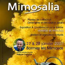 Nice Côte d’Azur Mimosalia 2007 à Bormes les Mimosas 