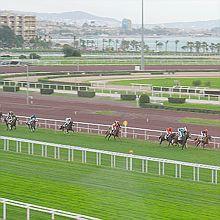 Cagnes sur Mer, près de Nice, fête son Hippodrome de la Côte d'Azur