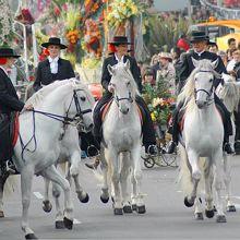 Week-end Carnaval de Nice Bataille de fleurs et Chevaux blancs 