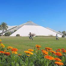 NICE Alpes Maritimes  CANCA Conseil communautaire au Parc Phoenix