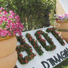 BIOT Alpes Maritimes donne carte blanche au paysage près de Nice