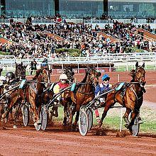 Hippodrome Nice Côte d'Azur COUPE du MONDE de TROT Grande soirée de Clôture