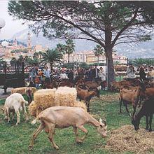 MENTON FÊTE LA ROYA-BEVERA près de NICE