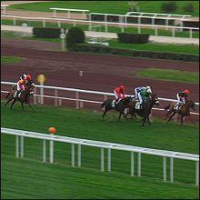 HIPPODROME NICE COTE D'AZUR Challenge european all weather HIPPODROME NICE COTE D'AZUR Challenge european all weather