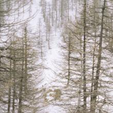 AVALANCHES PRÈS DE NICE, ESTROSI et le PRÉFET LAMY dans la TINÉE AVALANCHES PRÈS DE NICE, ESTROSI et le PRÉFET LAMY dans la TINÉE