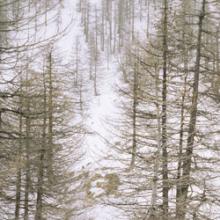 AVALANCHES PRÈS DE NICE, ESTROSI et le PRÉFET LAMY dans la TINÉE