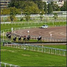 HIPPODROME de la Côte d'Azur GRAND PRIX de la VILLE de NICE à Cagnes