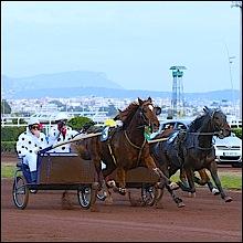 NICE 2018 HIPPODROME de la CÔTE d’AZUR Cagnes-sur-Mer