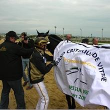 Hippodrome Nice Côte d’Azur, Grand Critérium de Vitesse des Casinos de Monte-Carlo à Cagnes sur Mer