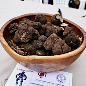Truffes Marché Le Rouret sq