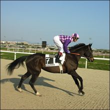 hippodrome-cagnes-polytrack