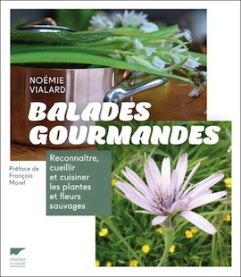 balades-gourmandes-sq