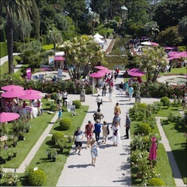 ephrussi-roses-sq